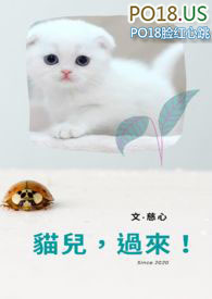 猫儿原唱